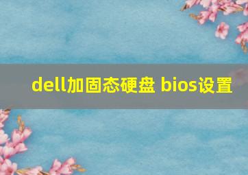 dell加固态硬盘 bios设置